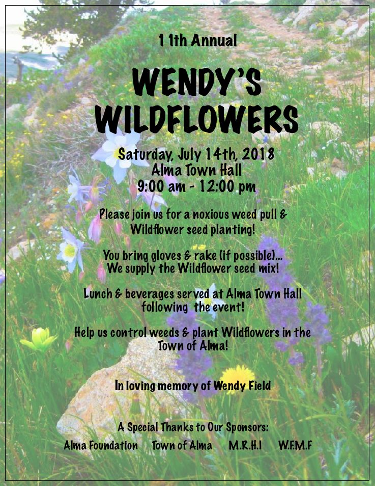 11th Annual Wendys Wildflowers 2018