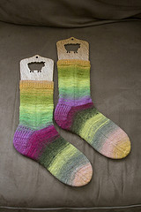 Basic Socks Knit Knook