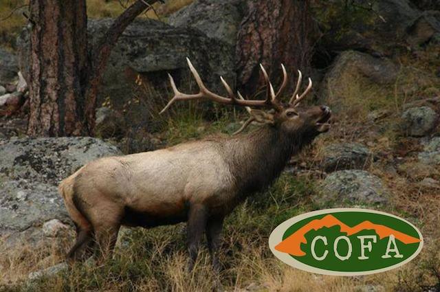 COFA Elk Hunt