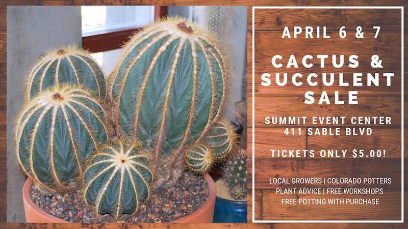 Cacuts and Succulent Sale 2019