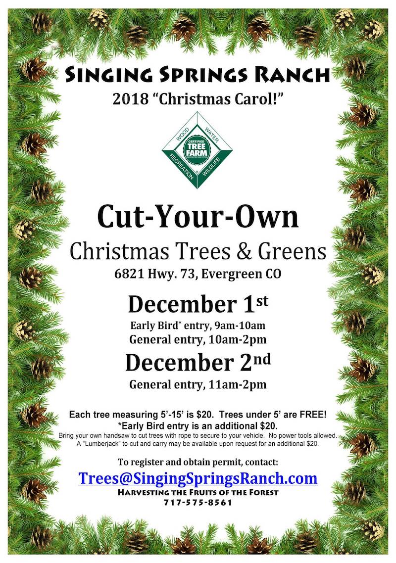 Cut Your Own Christmas Tree Singing Springs Ranch
