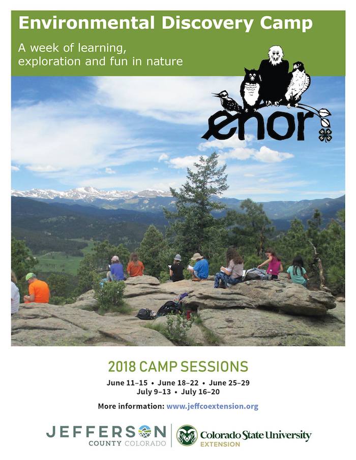 Environmental Discovery Camp 2018