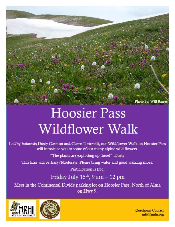 Hoosier Pass Wildflower Walk