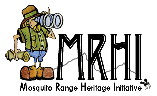 MRHI Final Logo Small