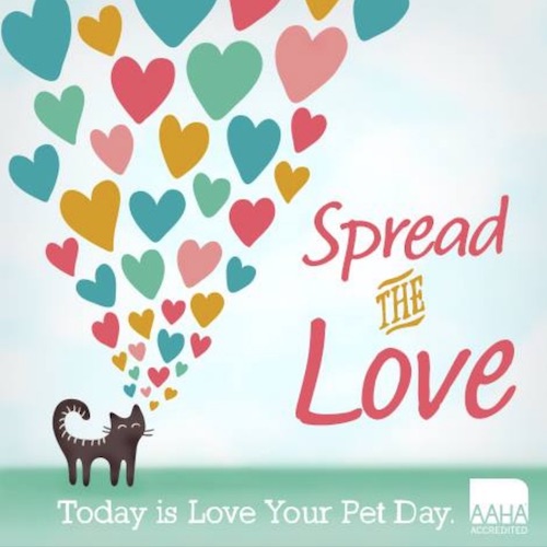 Love Your Pet Day