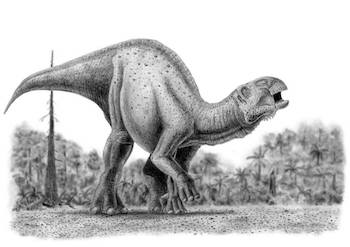 Iguanodonts Dinosaur Discovery