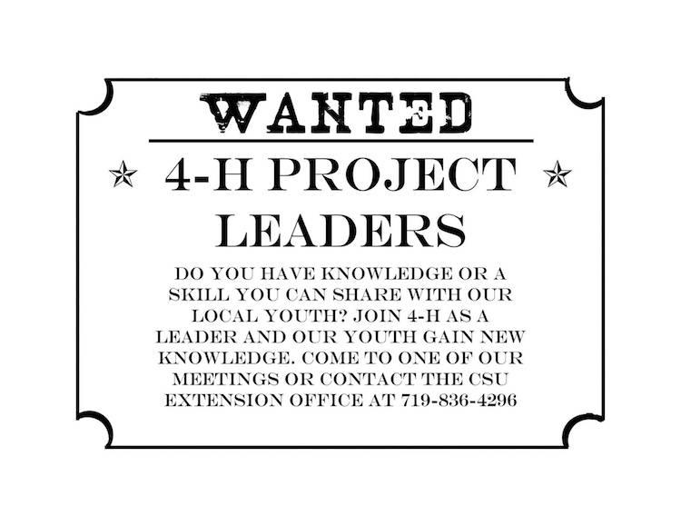 Wanted 4H Project Leaders Park County