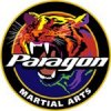 paragonmartialarts