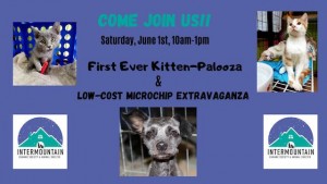 IMHS Kitten Palooza Microchip Extravaganza 2019.jpg
