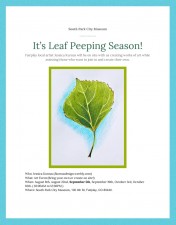 Leaf Peeping Classes Park County Creative Alliance.jpg