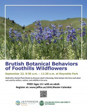 Brutish Botanical Behaviors of Foothills Wildflowers.jpg